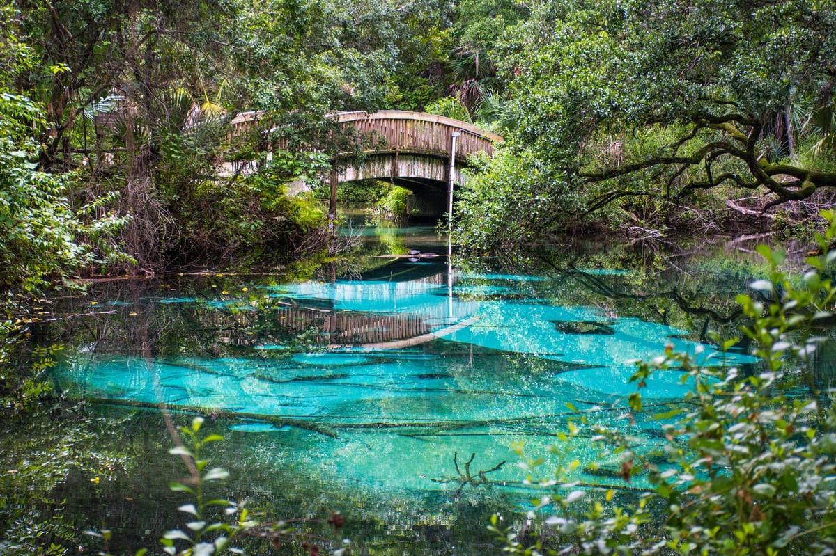 Clear natural freshwater spring with a wooden bridge