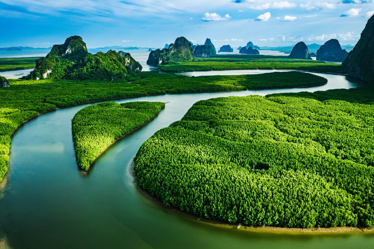 Aerial view of a winding mangrove river, evoking the Black River Safari in St Elizabeth