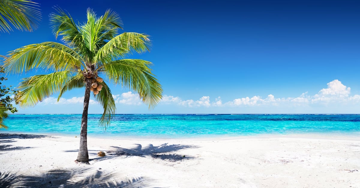 A palm tree leaning over the white sand and turquoise water of Seven Mile Beach, Negril
