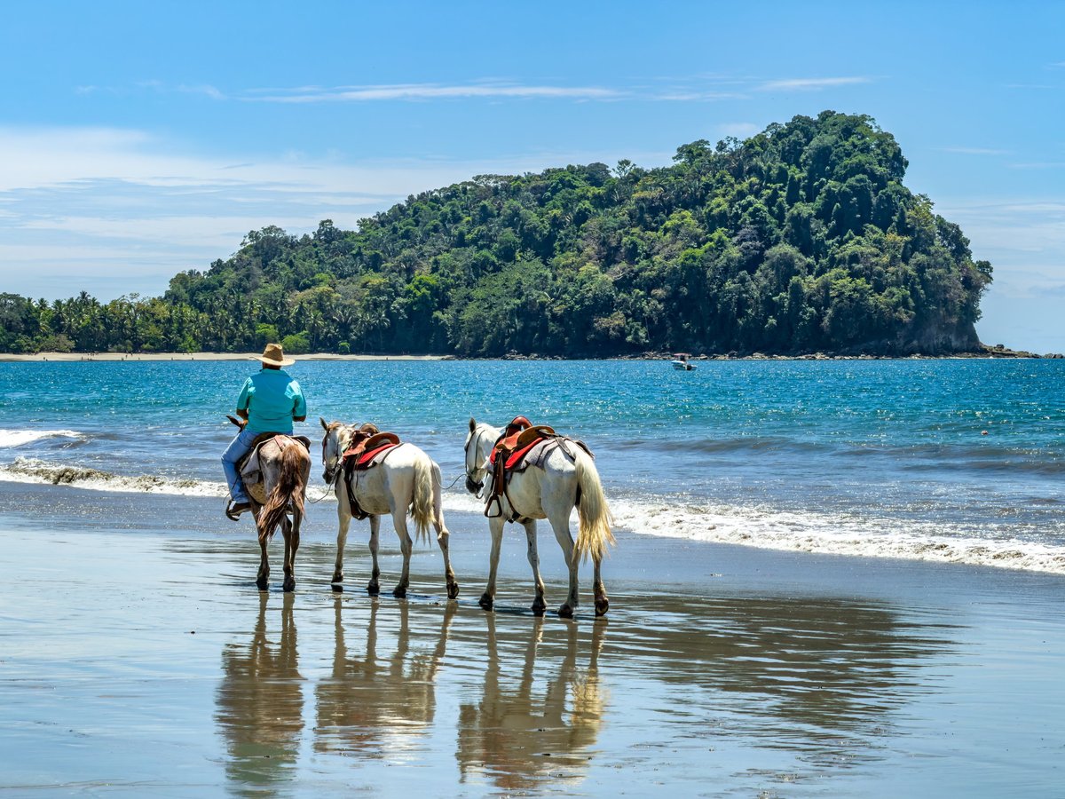 Riders on horseback walking along wet sand beside turquoise ocean water