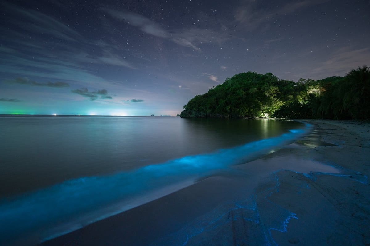 Glowing bioluminescent water at night at the Glistening Waters Luminous Lagoon, Trelawny