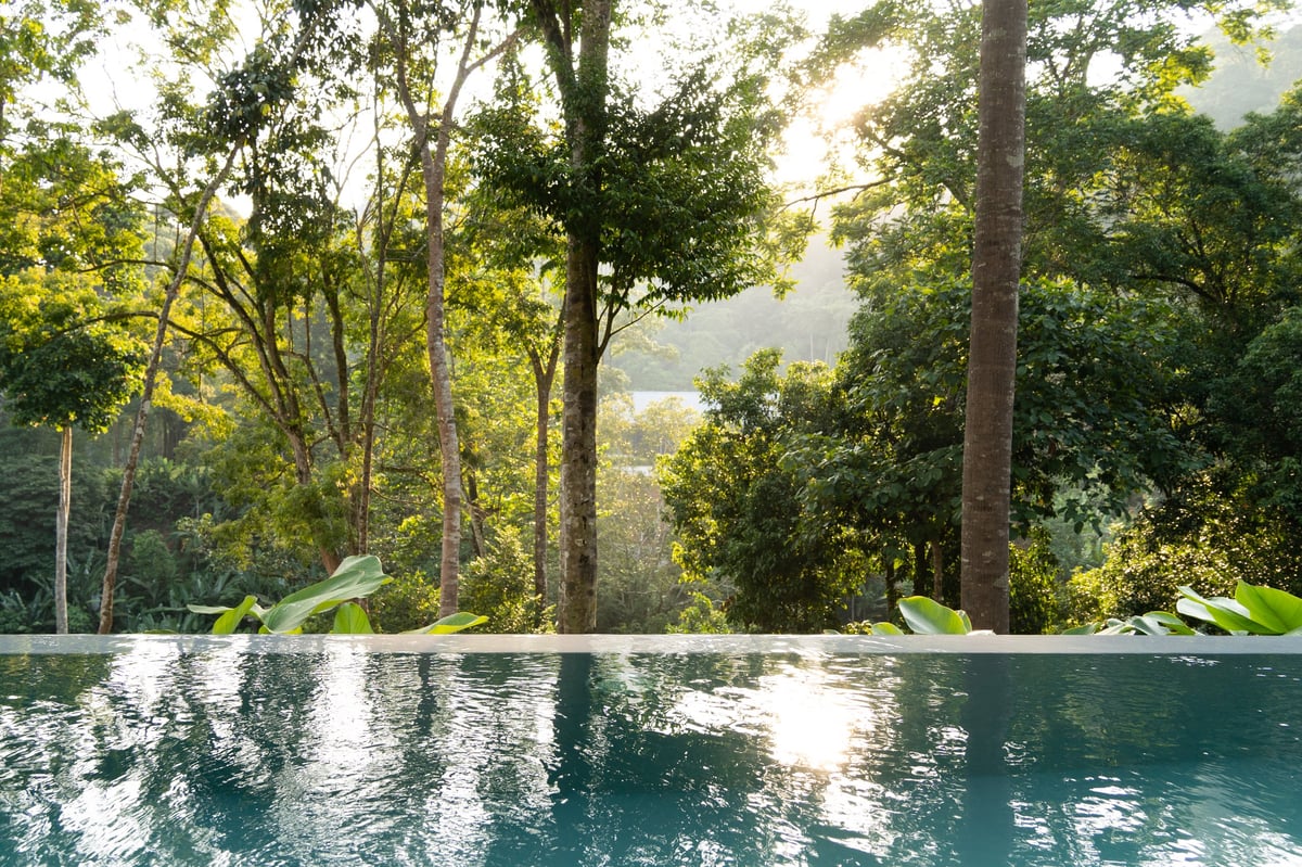 A serene turquoise pool surrounded by lush tropical rainforest