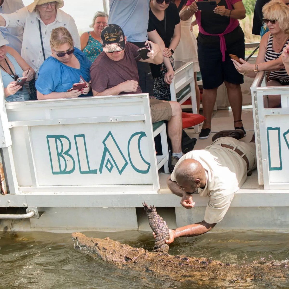 Man feeds a large crocodile from a boat while tourists watch